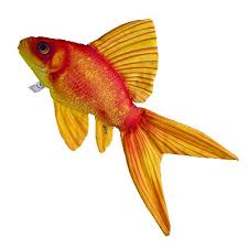 Cuscino Pesce Rosso