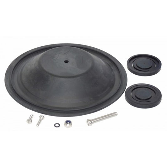 Kit riparazione pompa manuale 29250